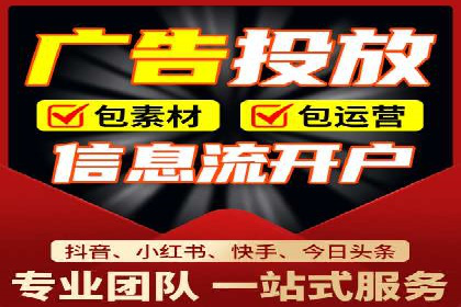SEM服务优势案例分享